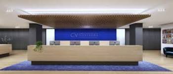 CV Advisors