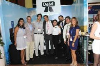 Delvi Inc