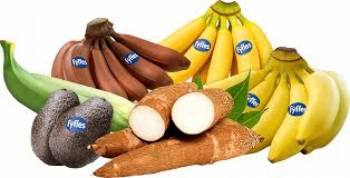 Fyffes N.A