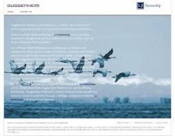 Guggenheim Partners Latin America Inc.