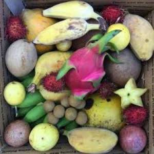 MiamiFruit.Org